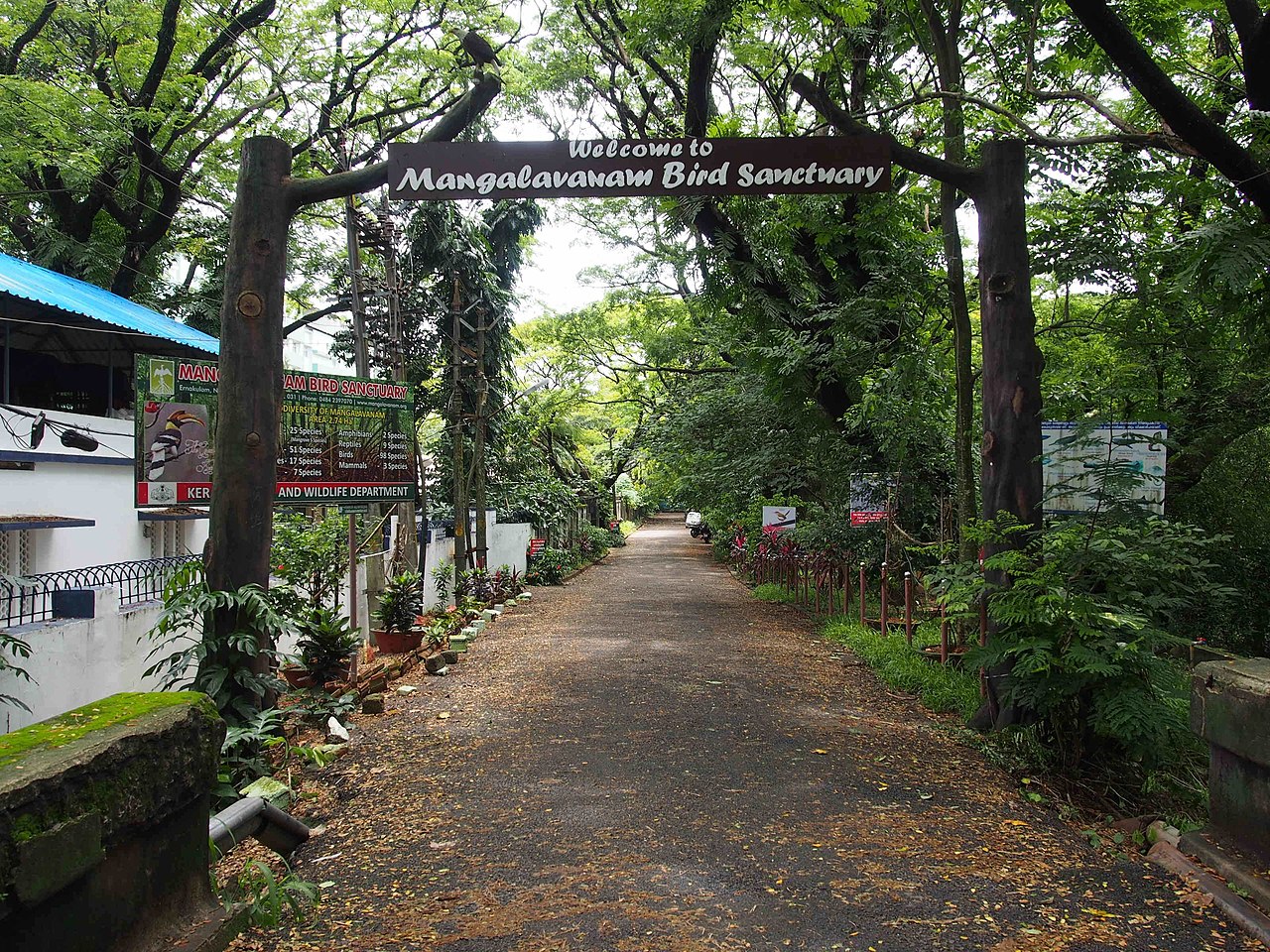 mangalavanam-bird-sanctuary-img